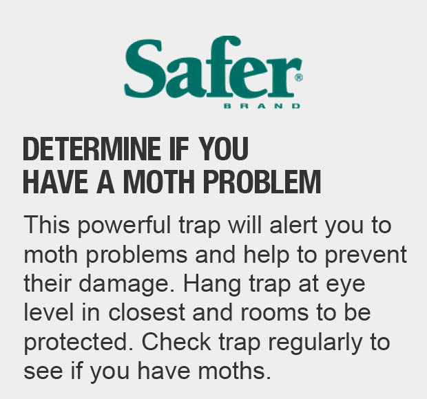 Safer Brand Clothes Moth Alert Trap07270 The Home Depot