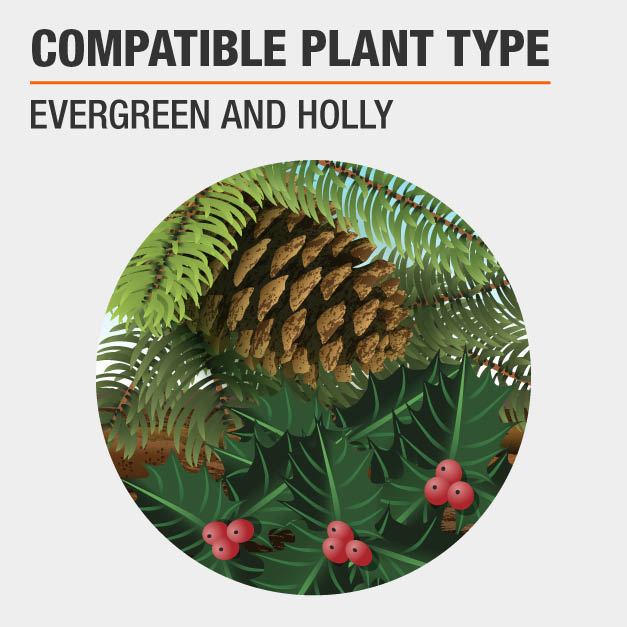 Vigoro 4.2 lb. Evergreen and Holly Fertilizer Spikes (15Count)253208