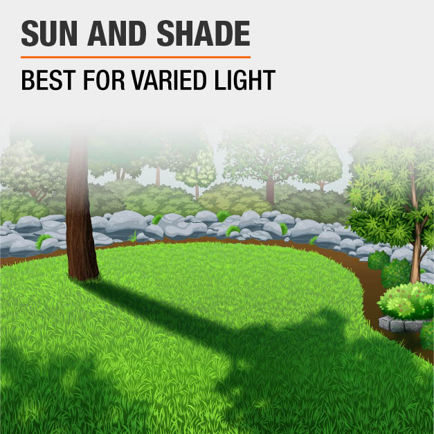 Vigoro 20 lb. Grass SunShade Lawn Seed25084 The Home Depot