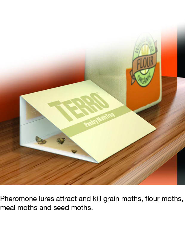 Terro Pantry Moth Trap T2900 The Home Depot How It Works