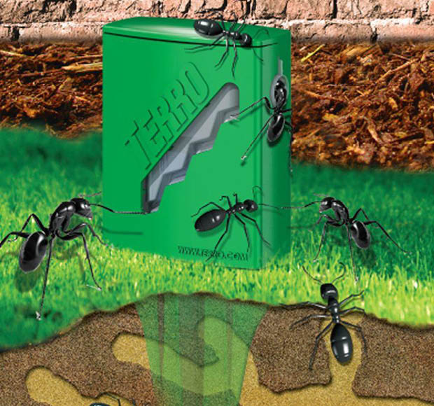 Terro Outdoor Liquid Ant StakeT1812 The Home Depot