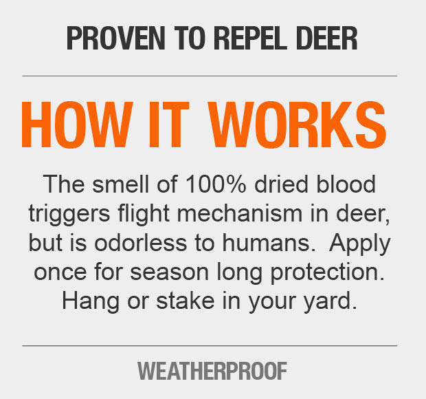 Havahart Deer Off 1.5 lb. Weatherproof Deer Repellent Stations (6Pack)DO56006 The Home Depot