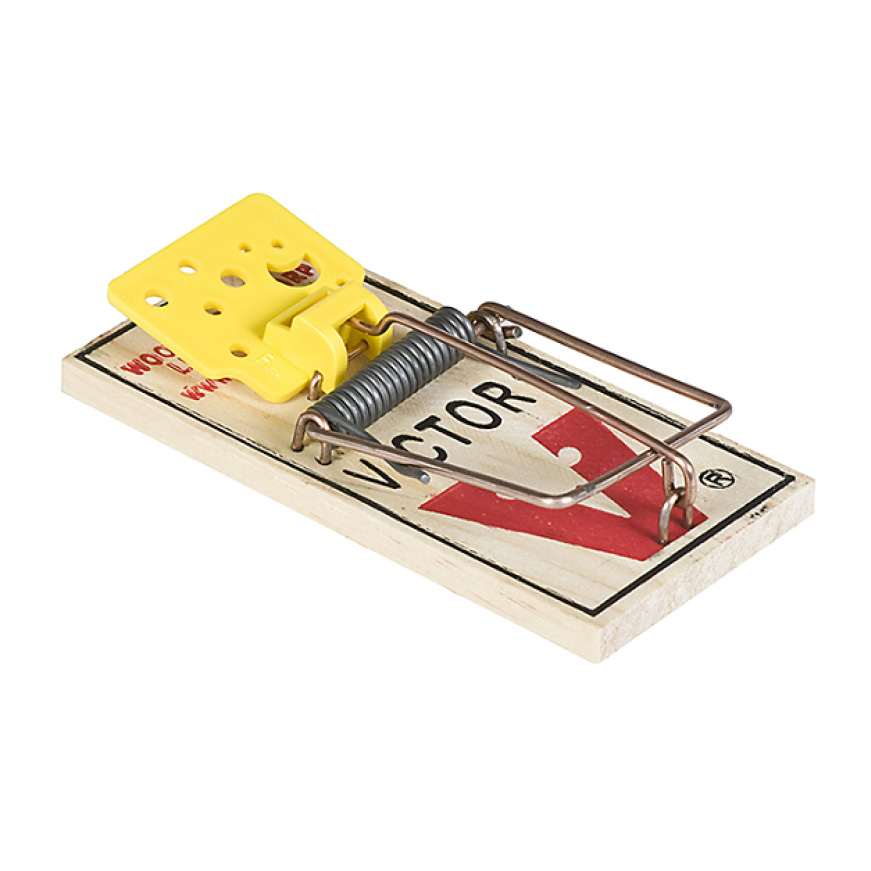 different kinds of mouse traps