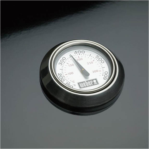 er 22 in. Original Kettle Premium Charcoal Grill in Green with Built