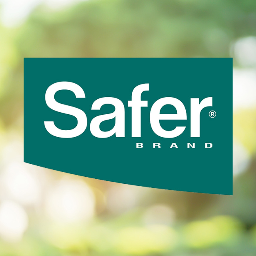 Safer Brand 32 oz. Ready-to-Use Insect Killing Soap-5110-6 - The Home Depot