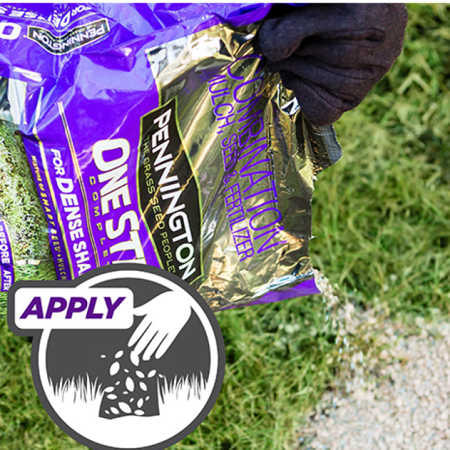 Pennington 5 lb. One Step Complete for Dense Shade Areas with Smart Seed, Mulch, Fertilizer Mix