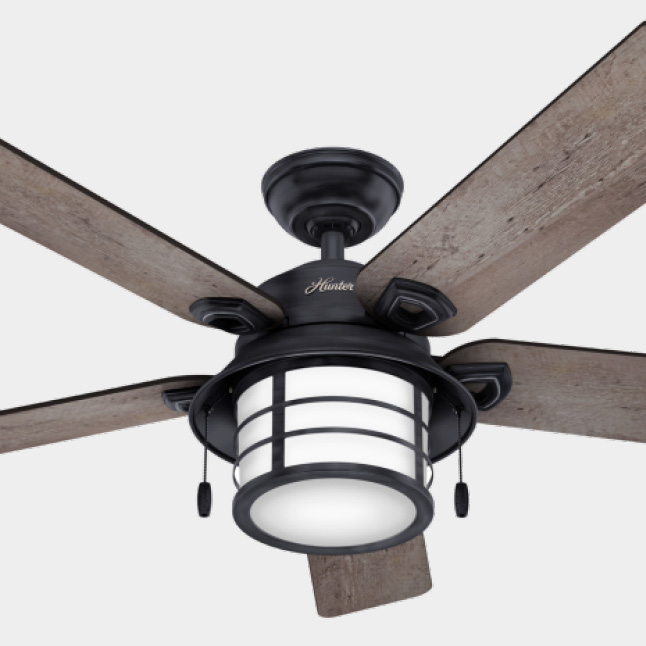Hunter Anslee 46 in. Indoor Fresh White Ceiling Fan with ...