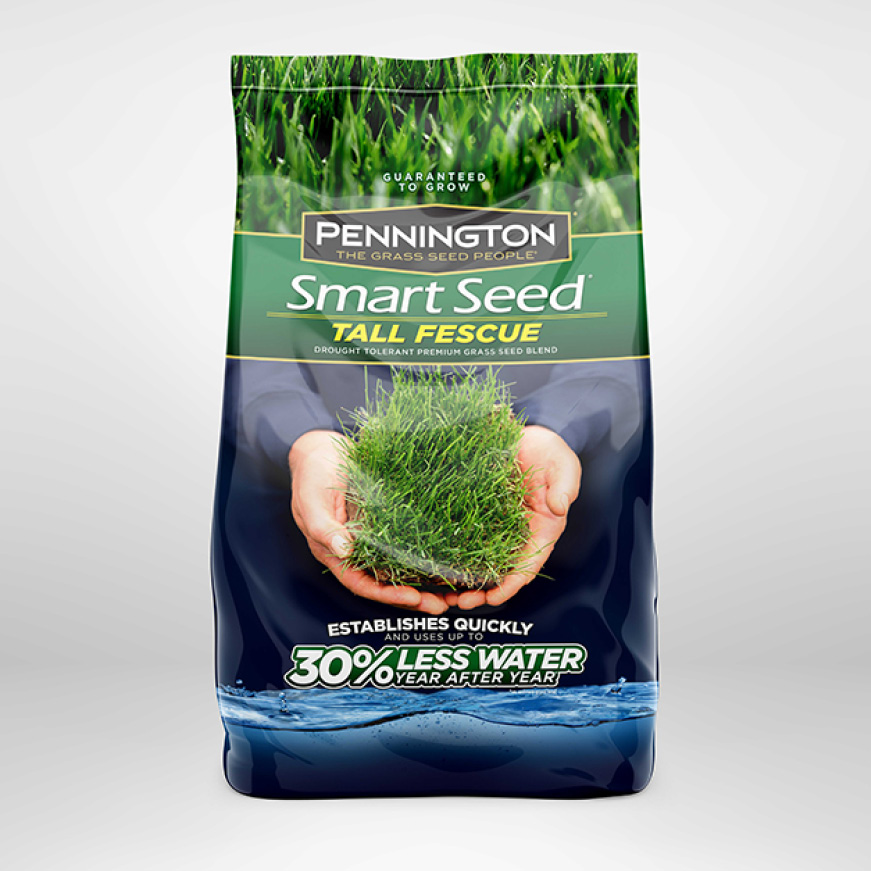 Pennington Smart Seed Tall Fescue Pennington Smart Seed Tall Fescue