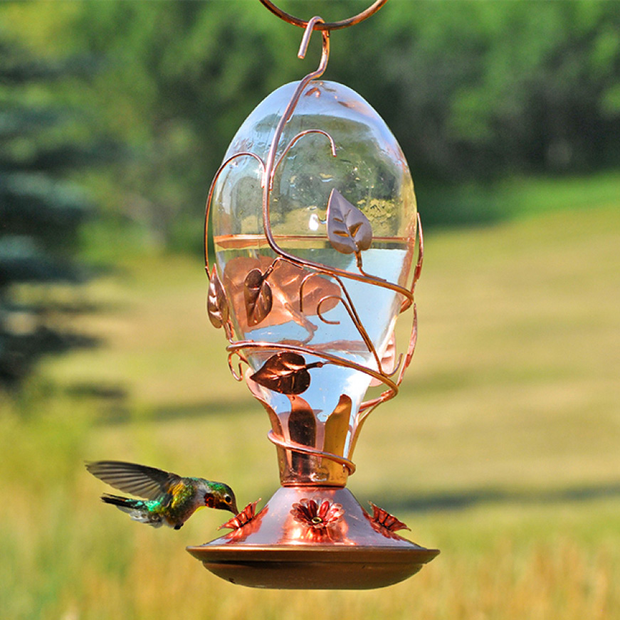 window hummingbird feeder
