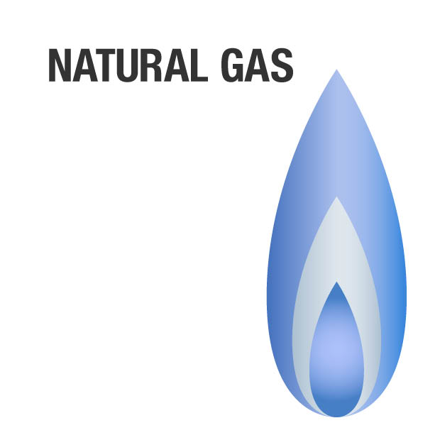 fuel type fuel type