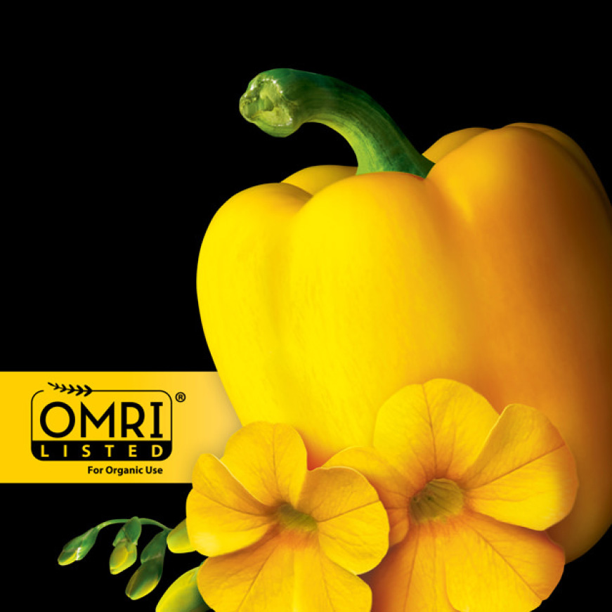 Miracle-Gro 6 qt. Performance Organics All Purpose Potting Soil Mix