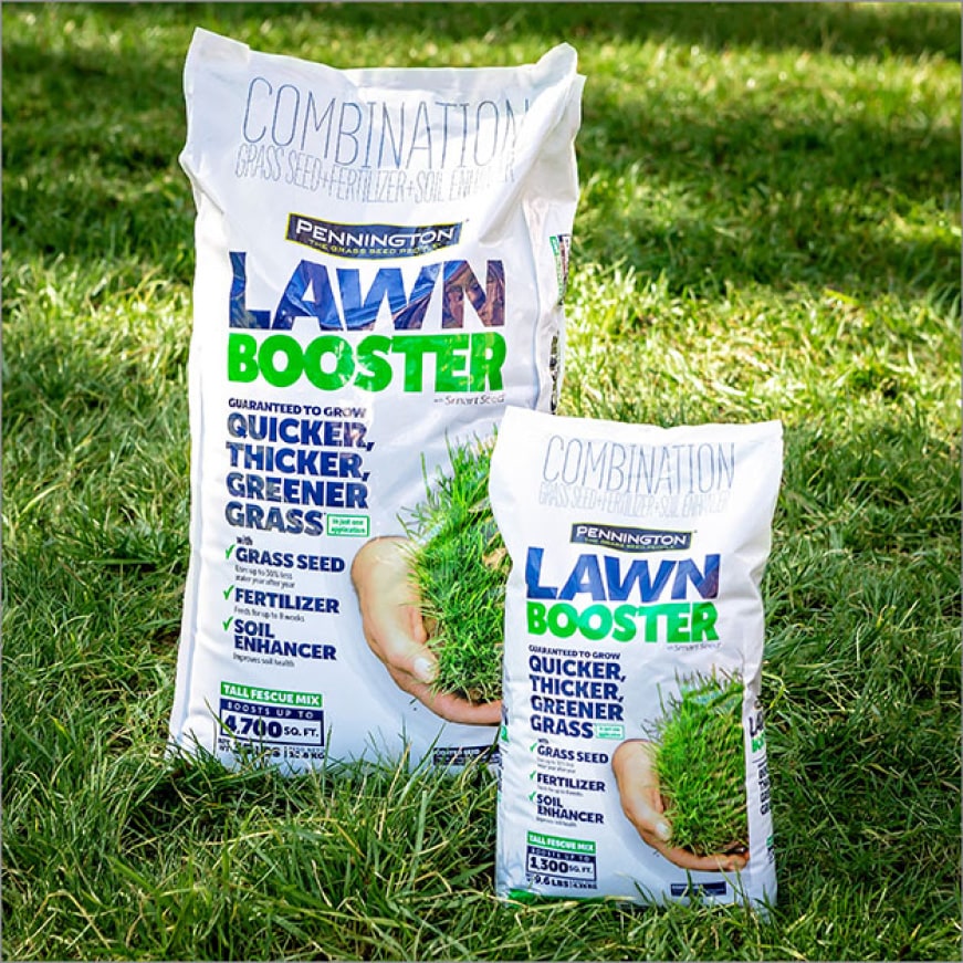 Pennington Lawn Booster Tall Fescue Pennington Lawn Booster Tall Fescue