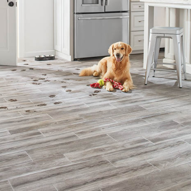 LifeProof Toffee Wood 6 in. x 24 in. Glazed Porcelain Floor and Wall