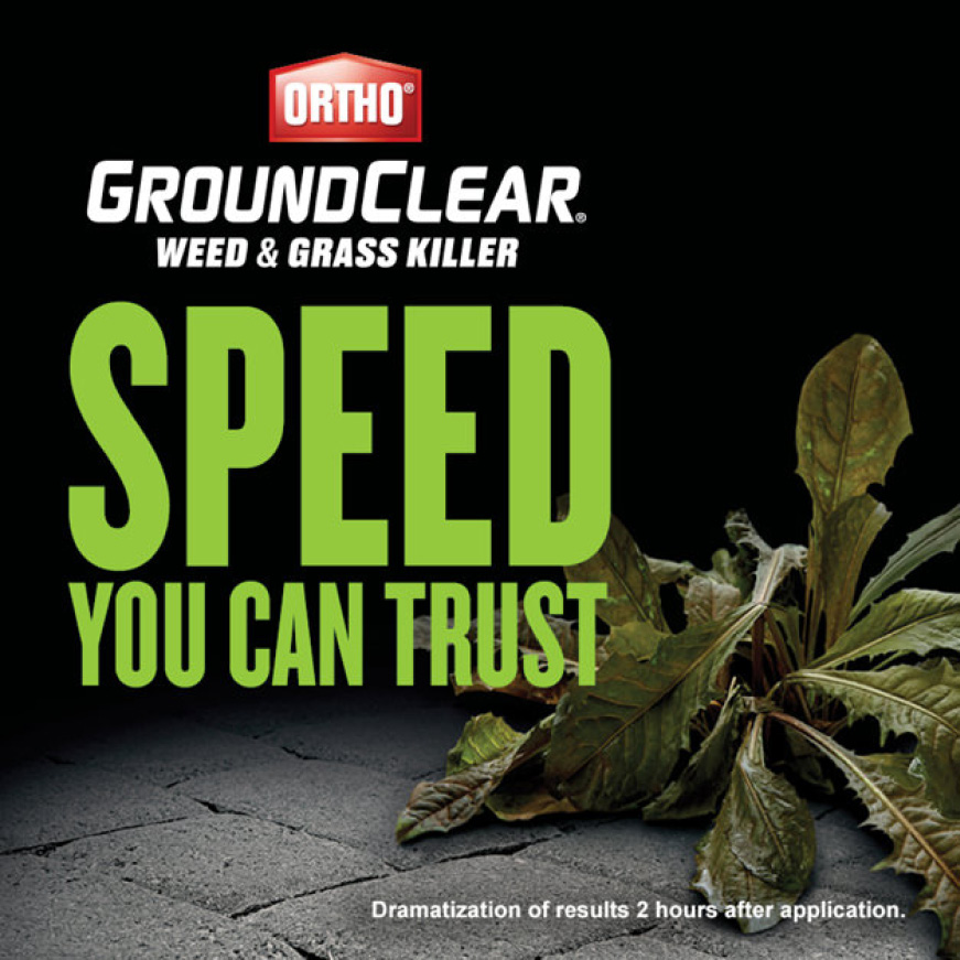 GroundClear - Speed You Can Trust GroundClear - Speed You Can Trust