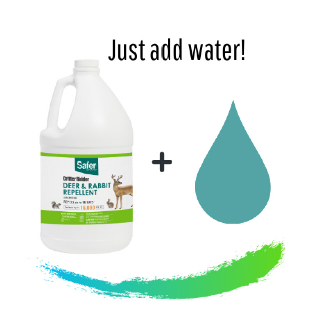Safer Brand Critter Ridder 32 fl. oz. Deer and Rabbit Repellent