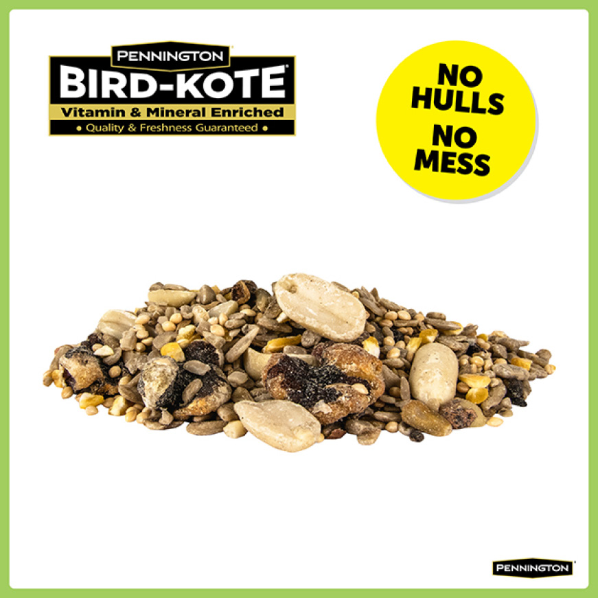 Pennington Ultimate 6 lbs. Waste Free Nut and Fruit Bird Seed Blend