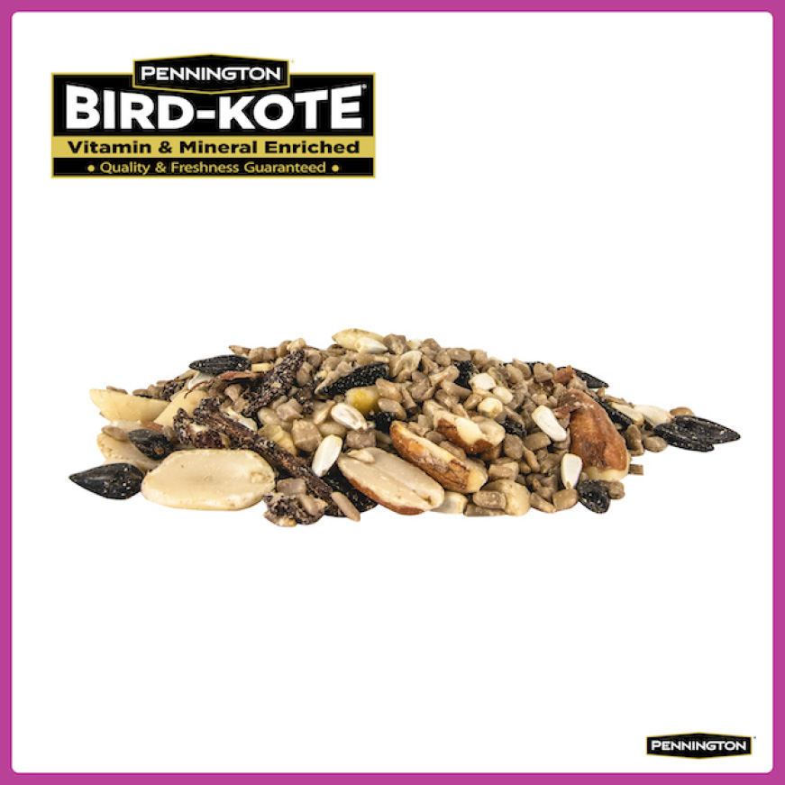 Pennington 14 lbs. Ultimate Nut and Fruit Bird Seed Blend100542065