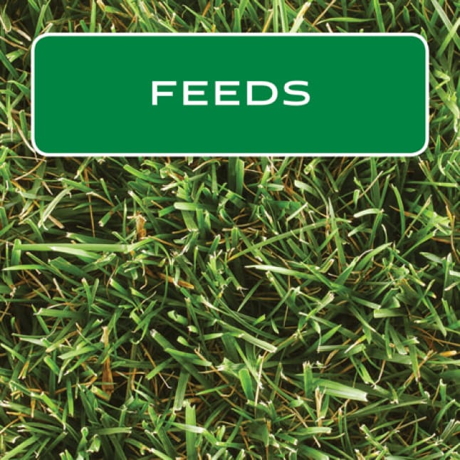 Scotts Turf Builder 50 2 Lb 10 000 Sq Ft Triple Action Lawn Scotts Turf Builder 50 2 Lb 10 000 Sq