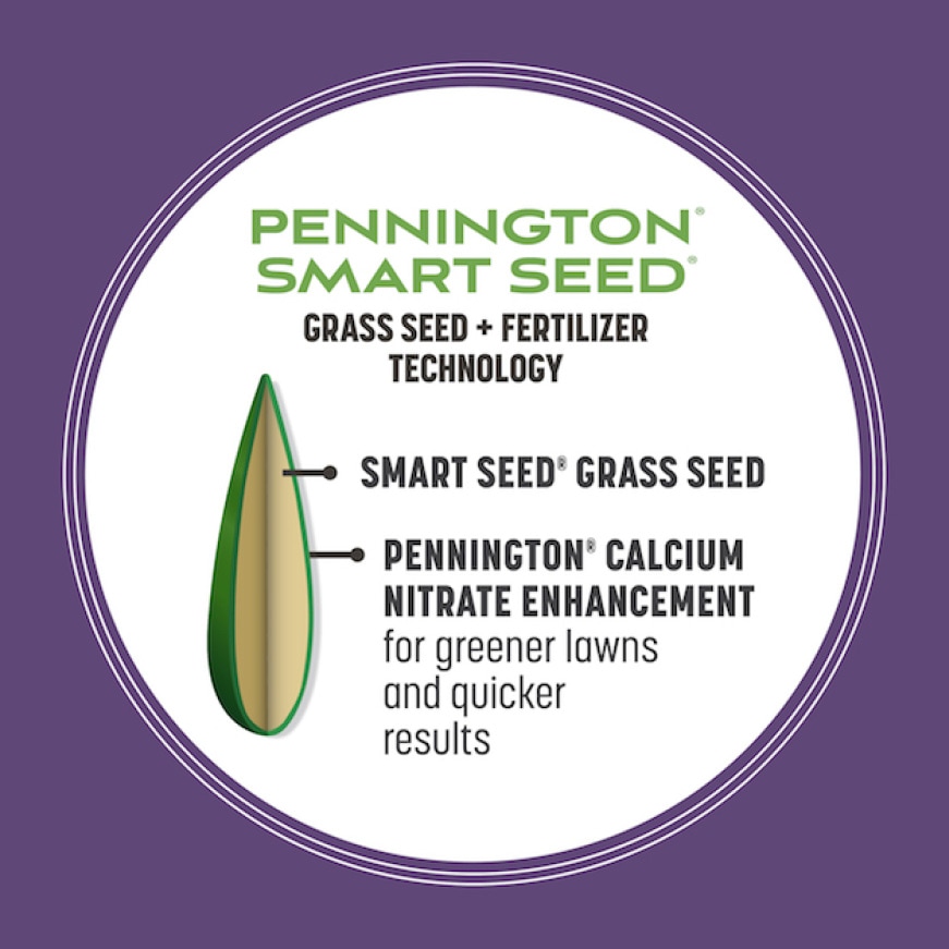 Pennington Smart Seed 7 Lbs. Dense Shade Grass Seed And Fertilizer ...