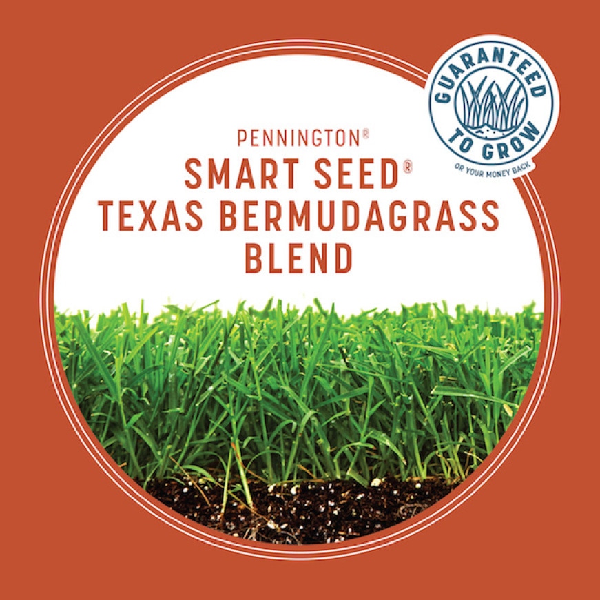 Smart Seed 175 Lbs Texas Bermudagrass Grass Seed And Fertilizer