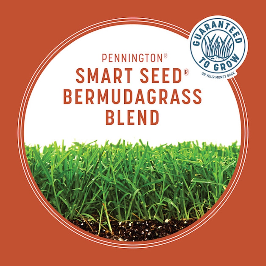 Pennington Smart Seed 1.75 lbs. Bermuda Grass Seed and Fertilizer