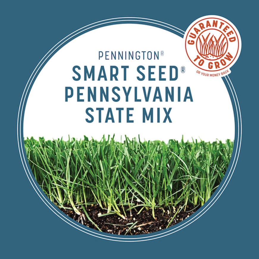 Pennington Smart Seed 20 Lbs. Pennsylvania State Grass Seed And ...