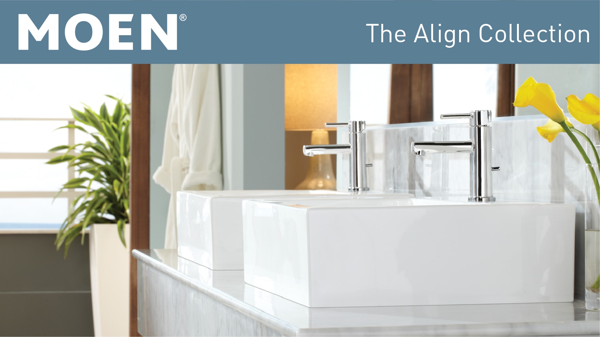 Align Collection Align Collection