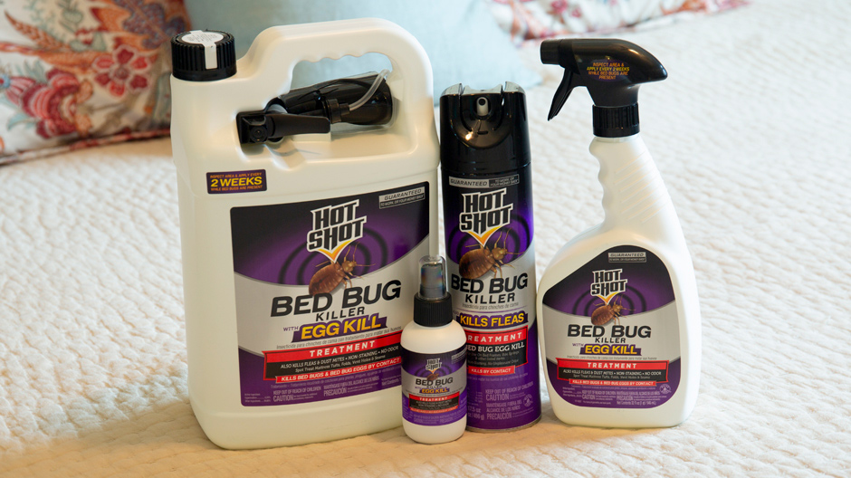 HOT SHOT Bed Bug Flea and Dust Mite Killer With Eggs egg Kill 1 Gallon