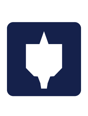 Infographic of Bosch Daredevil spade bit paddle.