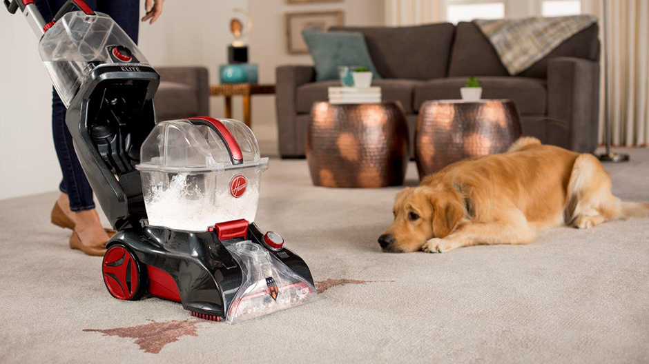 Hoover Professional Series Power Scrub Elite Pet Plus Upright Pet