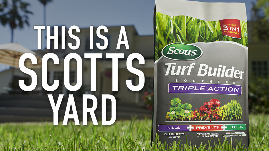This is a Scotts yard. This is a Scotts yard.