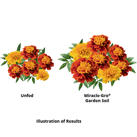 Miracle Gro 0 75 Cu Ft All Purpose Garden Soil 75030430 Miracle Gro 0 75 Cu Ft All Purpose Garden Soil 75030430