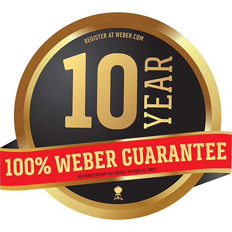 10 años de garantía logo