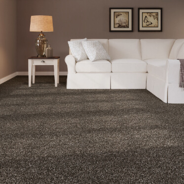 where to buy carpet samples