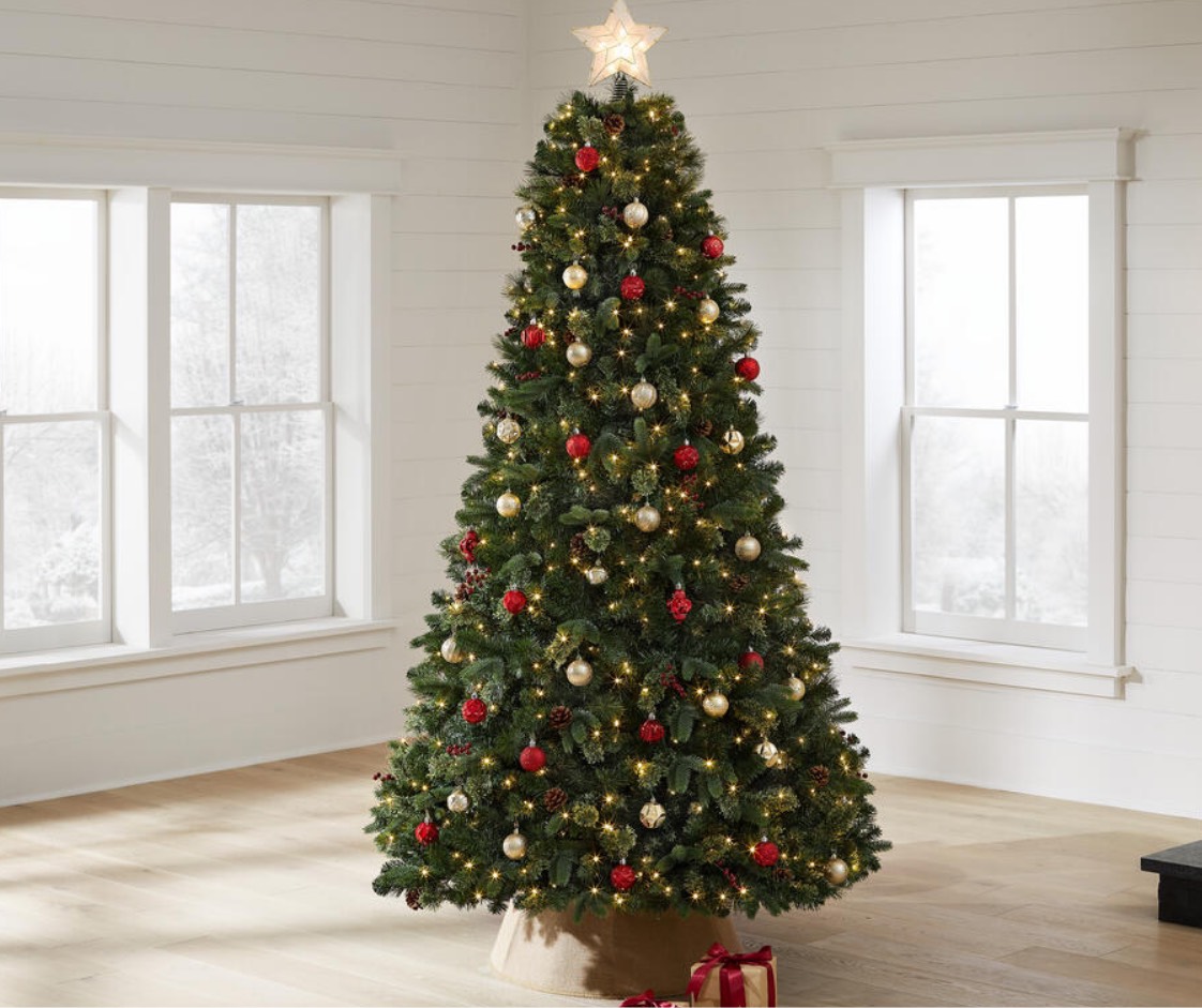 where to buy christmas trees