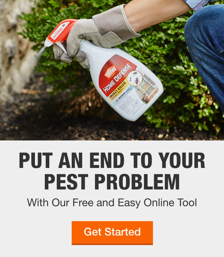 Pest Control Services Elizabeth Nj