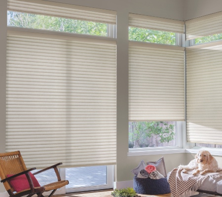 where to buy blinds and shades