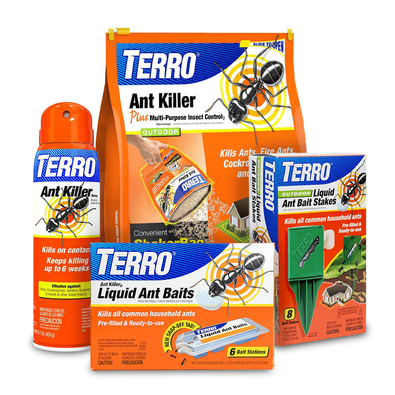 Pest Control The Home Depot