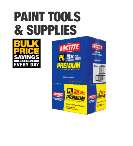 home depot pro paint system