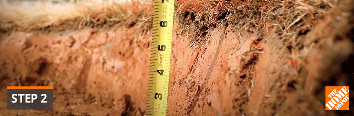 DIG OUT THE SOIL DIG OUT THE SOIL